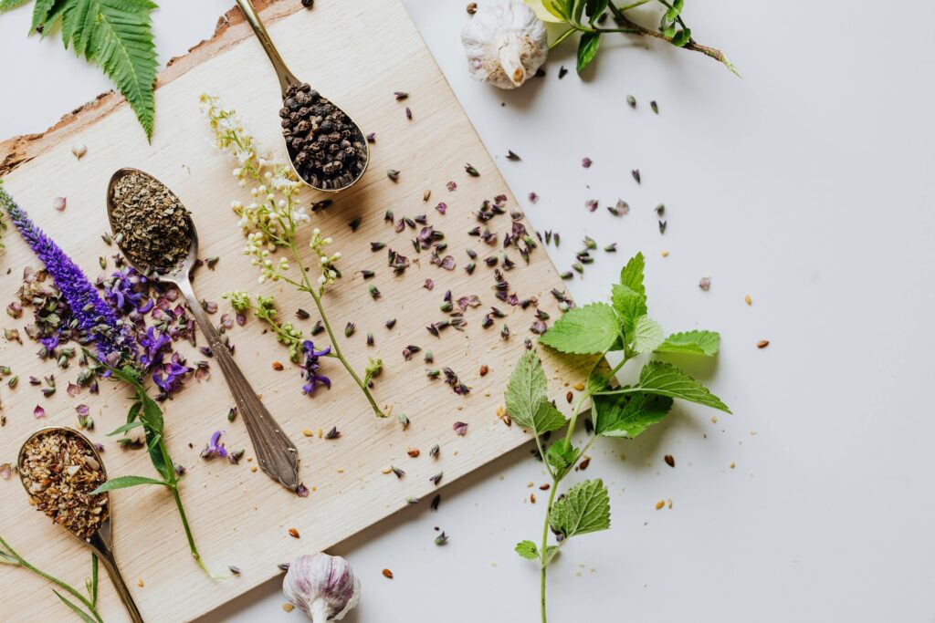 Plantes, herbes et ingrédients naturels utilisés pour évoquer la naturopathie et la santé naturelle.