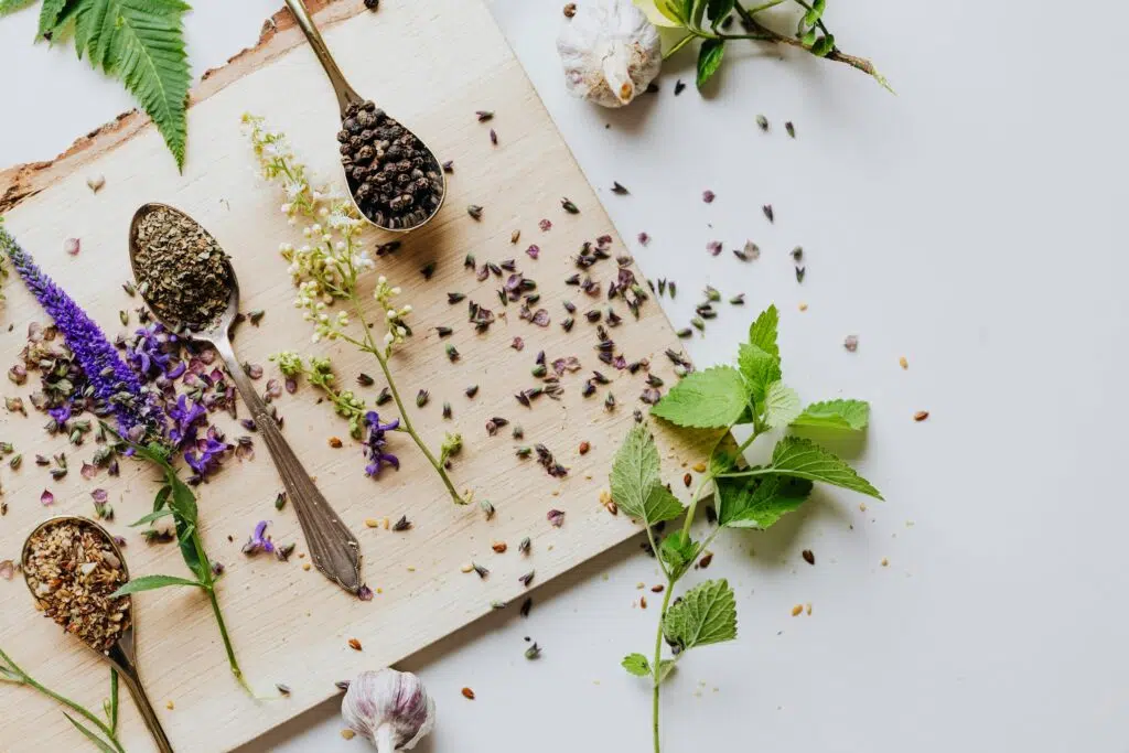 Plantes, herbes et ingrédients naturels utilisés pour évoquer la naturopathie et la santé naturelle.