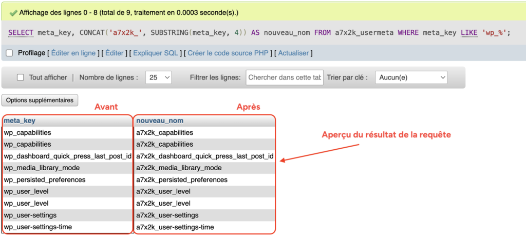 Tableau de prévisualisation montrant les clés actuelles en wp_ et leur nouveau nom en a7x2k_