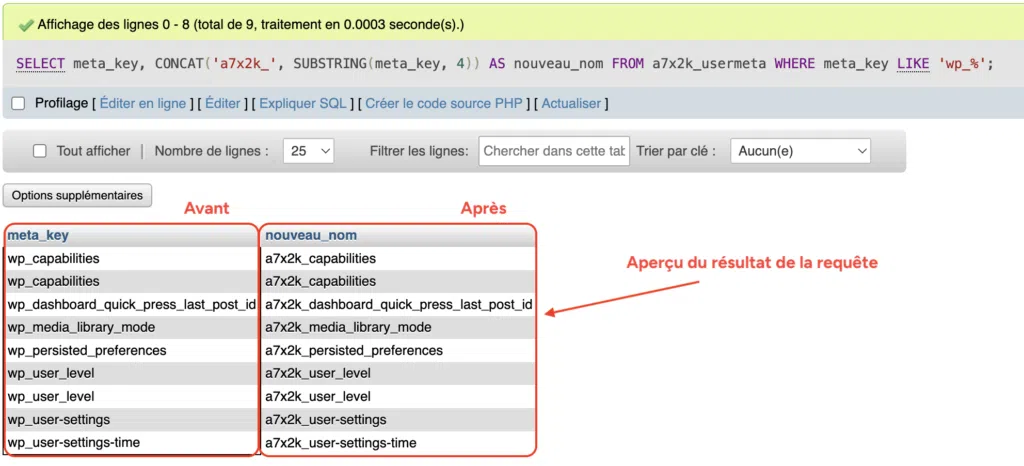 Tableau de prévisualisation montrant les clés actuelles en wp_ et leur nouveau nom en a7x2k_