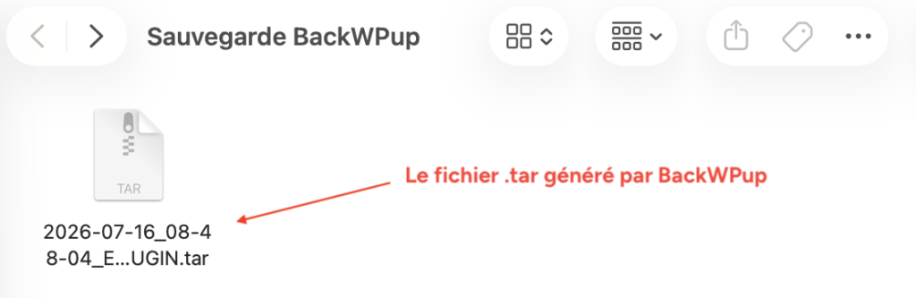 Fichier d'archive au format tar généré par BackWPup, téléchargé sur l'ordinateur