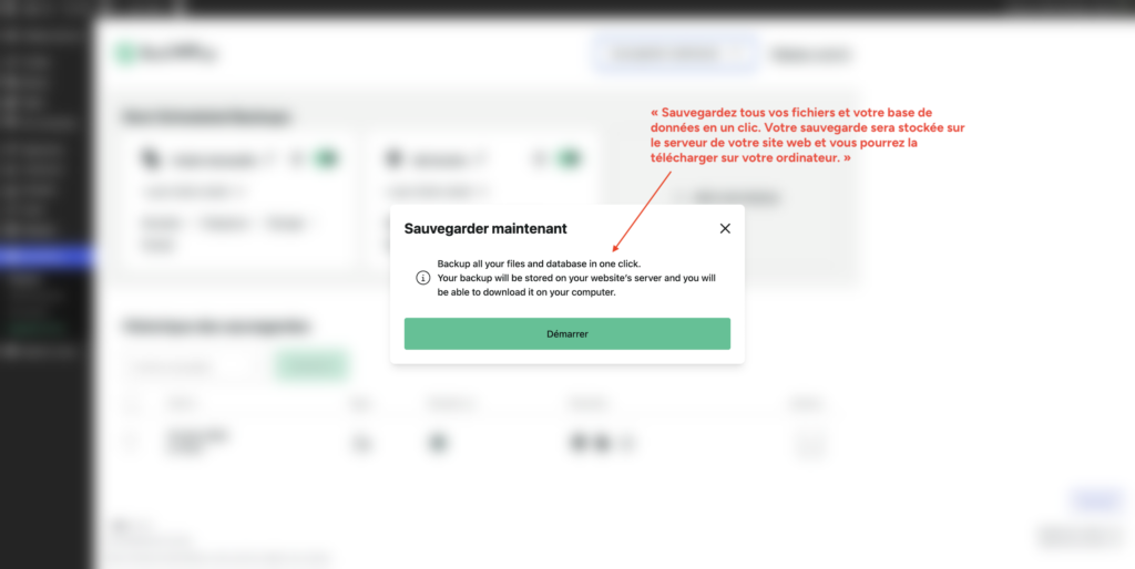 Fenêtre de confirmation du bouton Sauvegarder maintenant dans BackWPup, précisant le stockage sur le serveur du site.