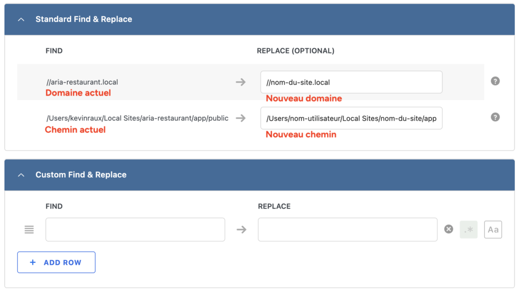 Sections "Standard Find & Replace" et "Custom Find & Replace" de WP Migrate Lite avec les champs domaine et chemin à renseigner.