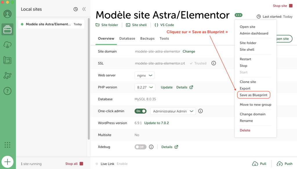 Menu contextuel d'un site sur Local avec l'option « Save as Blueprint » mise en évidence.