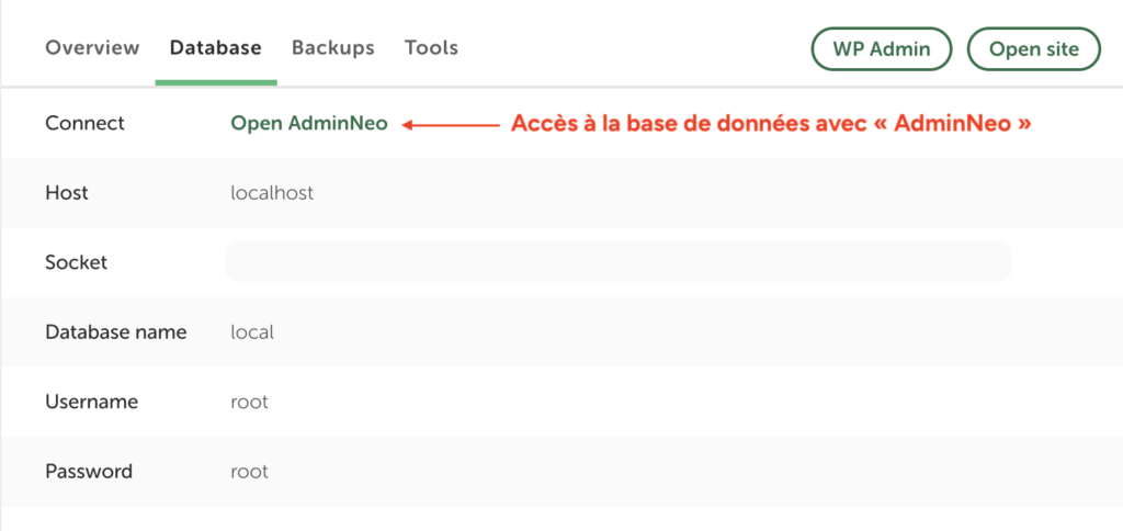 Onglet "Database" d'un site Local avec le lien "Open AdminNeo" et les identifiants de connexion, hôte, socket, nom de la base, utilisateur et mot de passe.