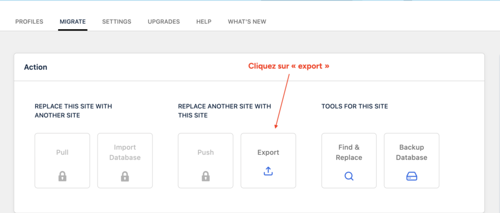Onglet "Migrate" de WP Migrate Lite avec le bouton "Export" mis en évidence.