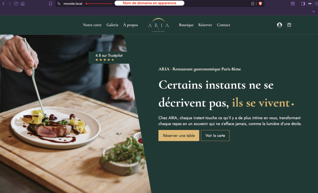 Page d'accueil d'un site importé s'affichant correctement sous le domaine "monsite.local".