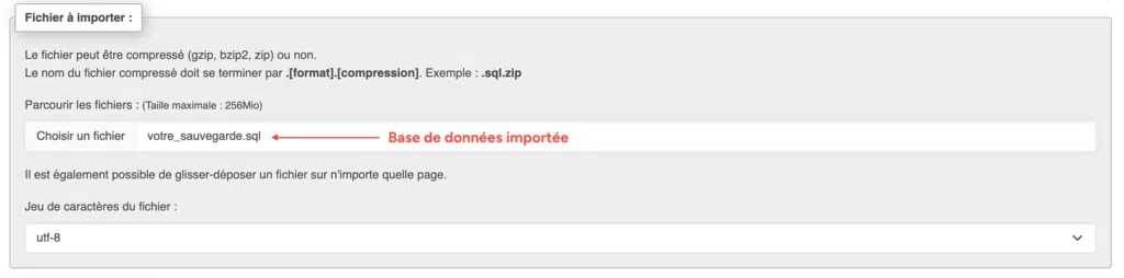 Onglet "Importer" de phpMyAdmin avec le fichier SQL sélectionné, prêt à être importé.