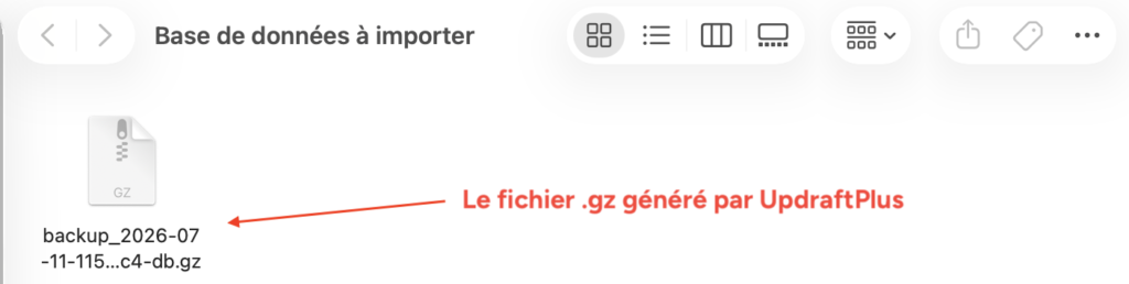 Fichier de base de données WordPress au format .gz généré par UpdraftPlus, visible sur l'ordinateur.