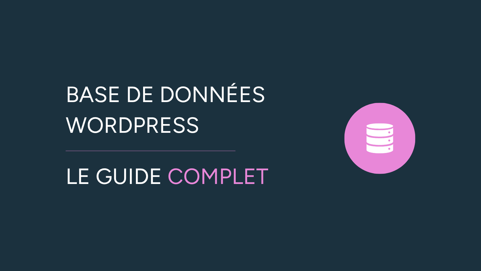 Illustration de l'article "Base de données WordPress" avec un pictogramme de base de données dans un cercle bleu, le titre "Base de données WordPress" et le sous-titre "Le guide complet".