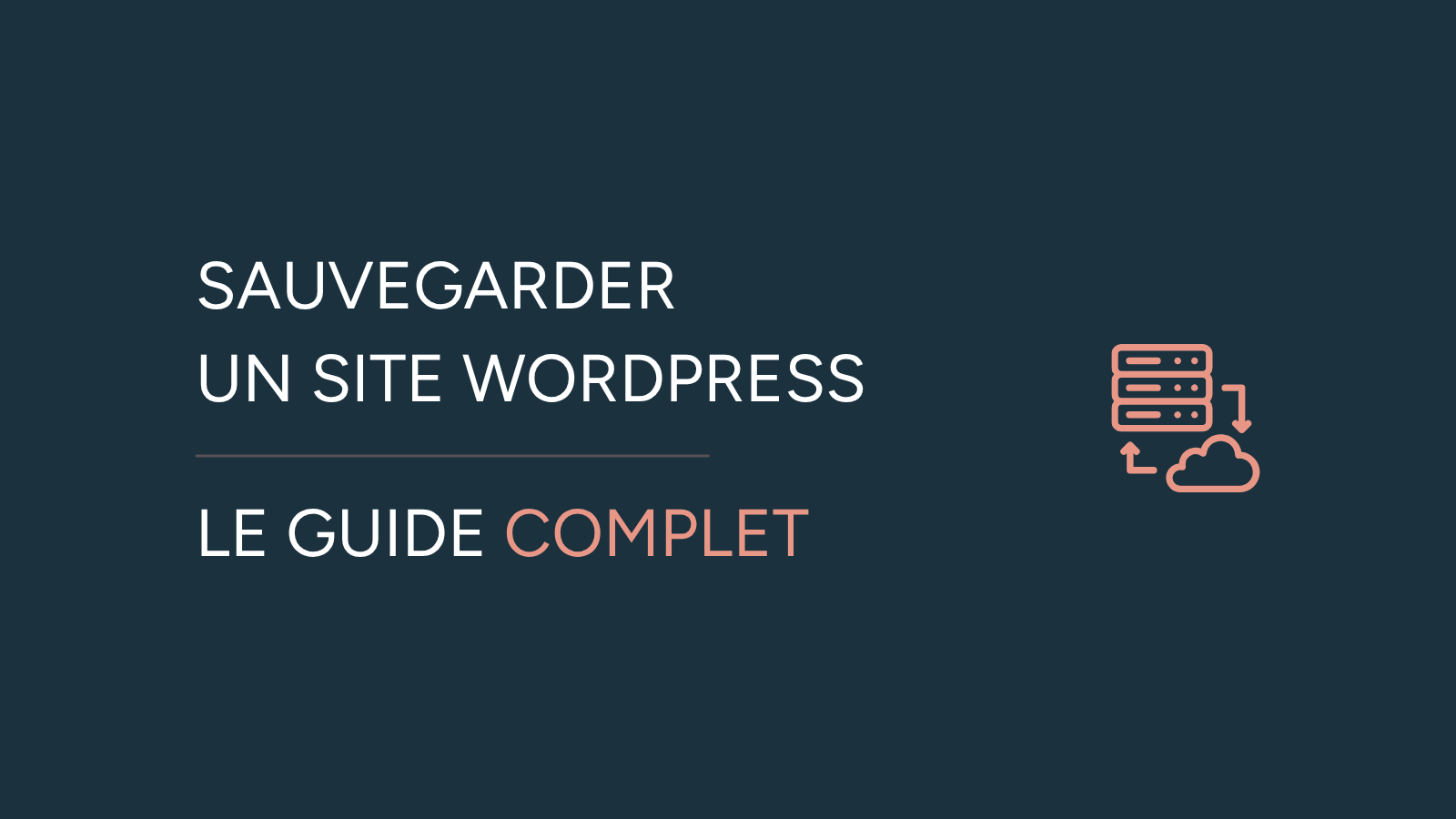 Illustration de l'article « Sauvegarder un site WordPress » avec un pictogramme d’un serveur informatique et d'un nuage cloud et le titre « Sauvegarder un site WordPress » ainsi que le sous titre « Le guide complet ».