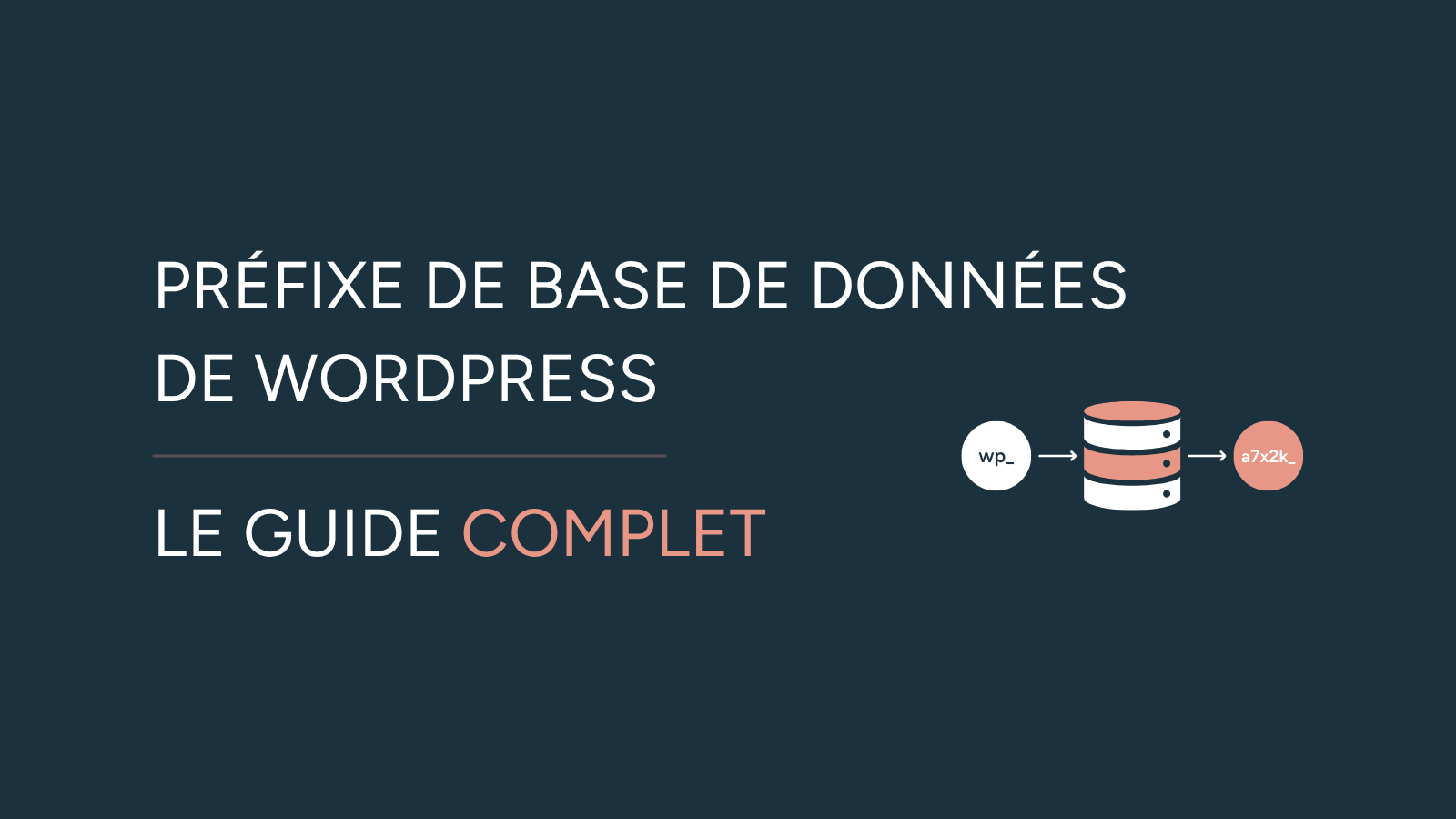 Illustration de l'article "Préfixe base de données WordPress" avec un pictogramme de base de données contenant une bulle avec un préfixe avant modification et une autre bulle avec le nouveau préfixe après modification, et le titre "Préfixe de base de données de WordPress" ainsi que le sous titre "Le guide complet"