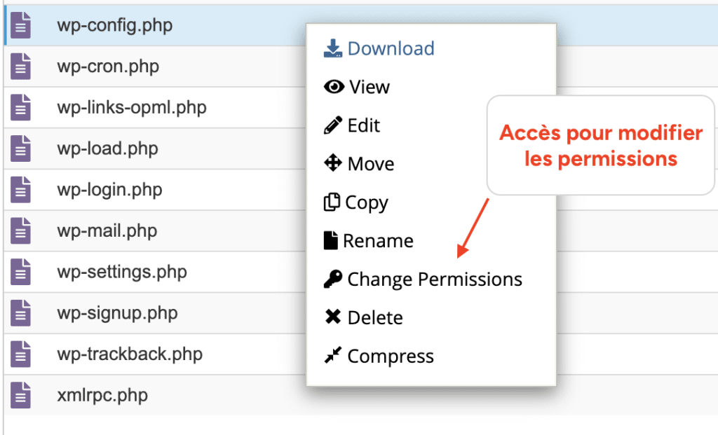 Menu contextuel du gestionnaire de fichiers avec l'option "Change Permissions" en surbrillance.