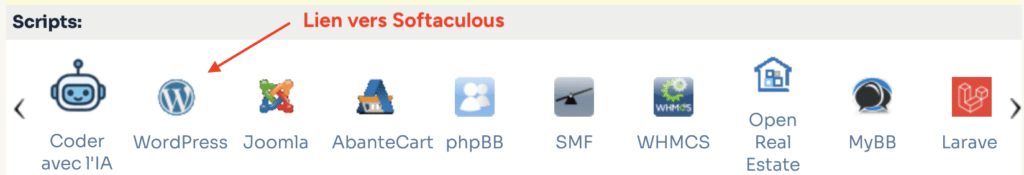 Section "Scripts" du cPanel avec l'icône WordPress mise en évidence pour accéder à Softaculous.