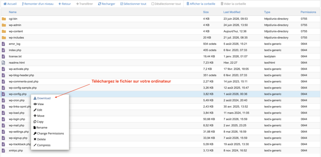 Menu contextuel du gestionnaire de fichiers avec l'option "Download" en surbrillance pour télécharger le fichier wp-config.php.