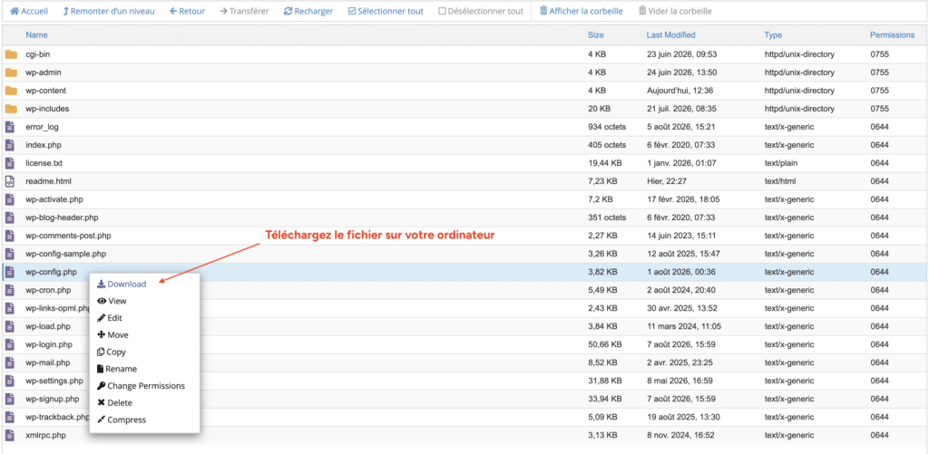 Menu contextuel du gestionnaire de fichiers avec l'option "Download" en surbrillance pour télécharger le fichier wp-config.php.